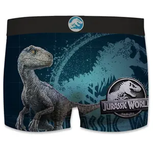Children's boxer shorts Freegun Jurassic World (x2) image-3