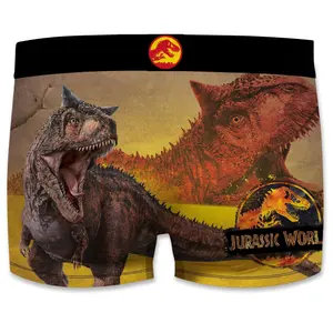 Children's boxer shorts Freegun Jurassic World (x2) image-4