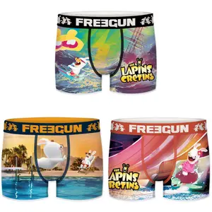 Children's boxer shorts Freegun Lapins Crétins (x3) image-0