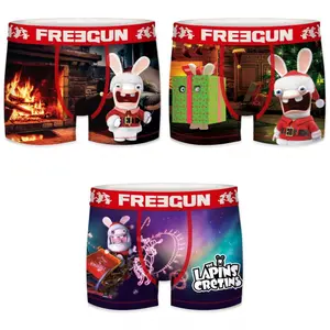 Children's boxer shorts Freegun Lapins Crétins (x3) image-1