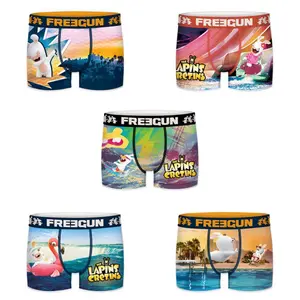 Children's boxer shorts Freegun Lapins Crétins (x5) image-0