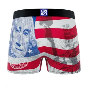 Boxer Freegun Flag & Cities New York image-1
