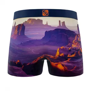 Boxer Freegun Landscape Mesa Arizona image-1