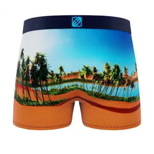 Boxer Freegun Landscape Oasis image-1