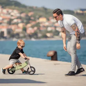Houten Driewieler en Loopfiets voor Baby's FreeON Free 2 Move image-1