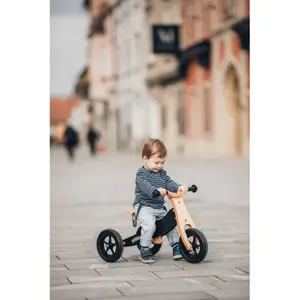 2-in-1 Driewieler en Loopfiets voor Baby's FreeON Free 2 Move image-1