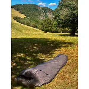 Saco de dormir Freetime Lodenn image-3