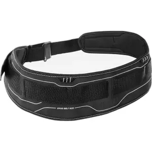 Tool belt Fristads 9225 PPL image-0