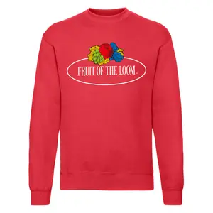 Sweatshirt Fruit of the Loom Vintage Large Logo Print image-0