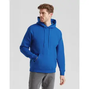 Hooded sweatshirt Fruit of the Loom Premium image-1