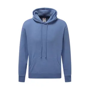 Hooded sweatshirt Fruit of the Loom Premium image-0