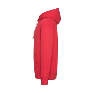 Hooded sweatshirt Fruit of the Loom Premium image-2