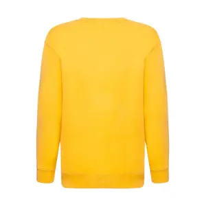 Παιδικό φούτερ Fruit of the Loom Premium image-1