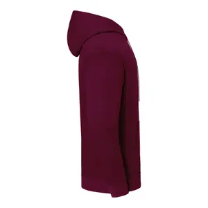 Felpa con cappuccio Fruit of the Loom Iconic 250 image-2