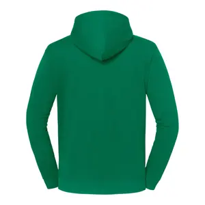 Felpa con cappuccio Fruit of the Loom Iconic 250 image-1