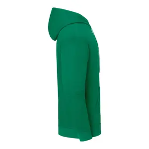 Felpa con cappuccio Fruit of the Loom Iconic 250 image-2