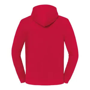 Felpa con cappuccio Fruit of the Loom Iconic 250 image-1