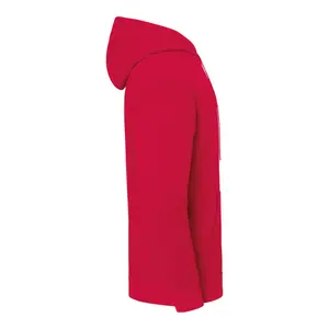 Felpa con cappuccio Fruit of the Loom Iconic 250 image-2