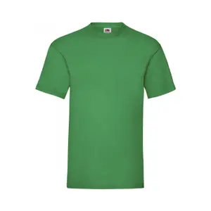 sc221-kellygreen-t-shirt-fruit-of-the-loom-valueweight-61-036-0-kellygreen