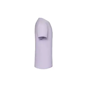 Camiseta Fruit of the Loom Iconic-T image-2