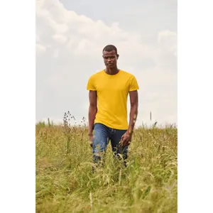Camiseta Fruit of the Loom Iconic-T image-2