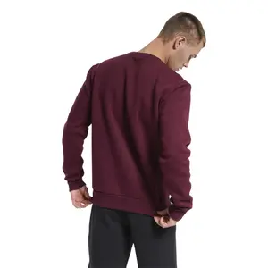 Sweatshirt Reebok Classic Linear image-1
