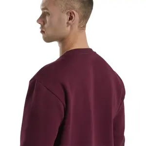 Sweatshirt Reebok Classic Linear image-4