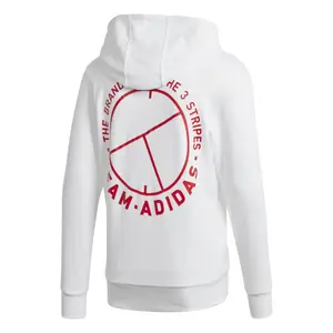 Hoodie adidas TENNIS CATEGORY GRAPHIC image-1