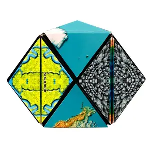 Brætspil Fun In Motion Toys - Shashibo Terre image-4