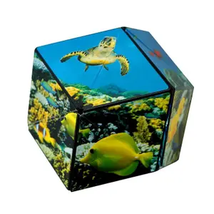 Brætspil Fun In Motion Toys - Shashibo Ocean image-5