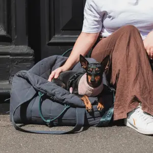 Sac de transport pour chien FuzzYard LIFE Multipurpose image-0