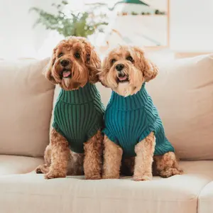 Hundetrøje FuzzYard LIFE image-2
