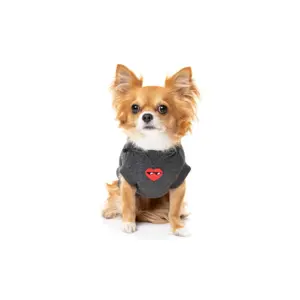 Sweatshirt med hætte til hunde FuzzYard Heartbreaker image-2