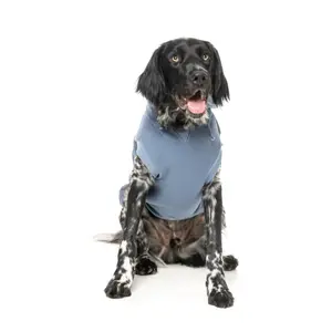 Sweatshirt med hætte til hunde FuzzYard Treats image-2