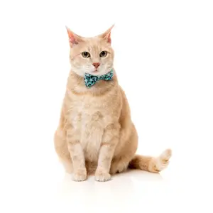 Bandana voor kat FuzzYard Wild One image-2