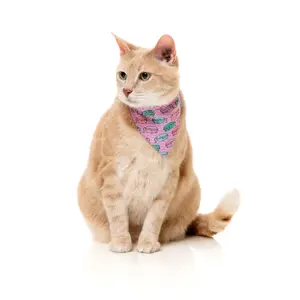 Bandana für Katze FuzzYard Meowcarons image-1