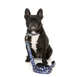 Laisse pour chien FuzzYard Pluto Pup image-1