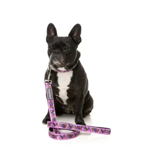Laisse pour chien FuzzYard Fiesta image-1