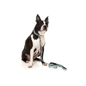 Hundehalsband FuzzYard Dreamtime Koalas image-1