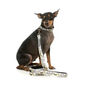 Hundeleine FuzzYard Go Bananas image-1