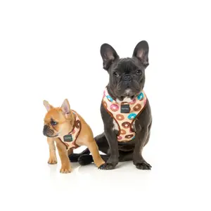 Hundegeschirr FuzzYard Go Nuts S image-2