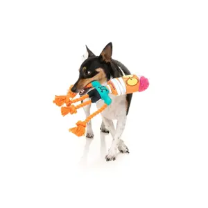 Plüschtier für Hunde FuzzYard Halloween Toy image-1