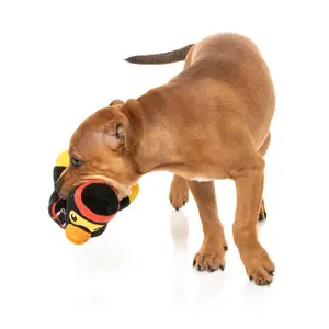 Peluche para perros FuzzYard Duck Quackie Chan image-2