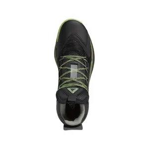 Basketbalschoenen adidas Pro Boost Mid image-2