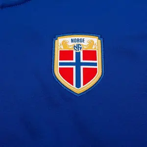 Norwegen Sportjacke Dri-FIT Academy Pro 2025 image-6