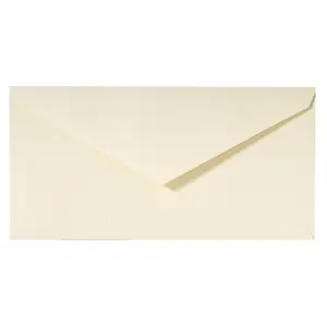 Buste gommate G.Lalo DL (x20) image-0
