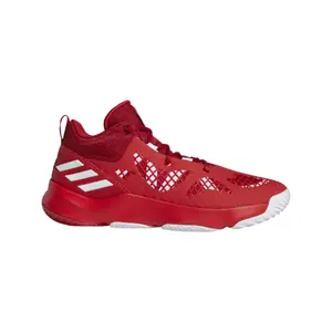 Basketbalschoenen adidas Pro N3XT 2021 image-0
