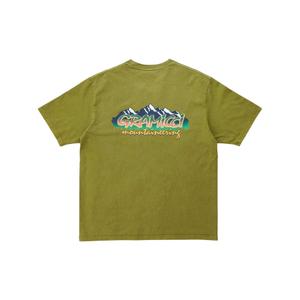 product/g/5/g5su-t168-pistachio_pigment_0.jpg