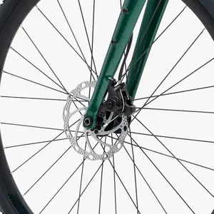 Gravel Bike Welt G80 Shimano Claris RD-R2000 8V image-6