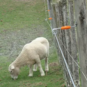 Isolateurs pour clôture électrique à distance Live Tip Gallagher (x20) image-4